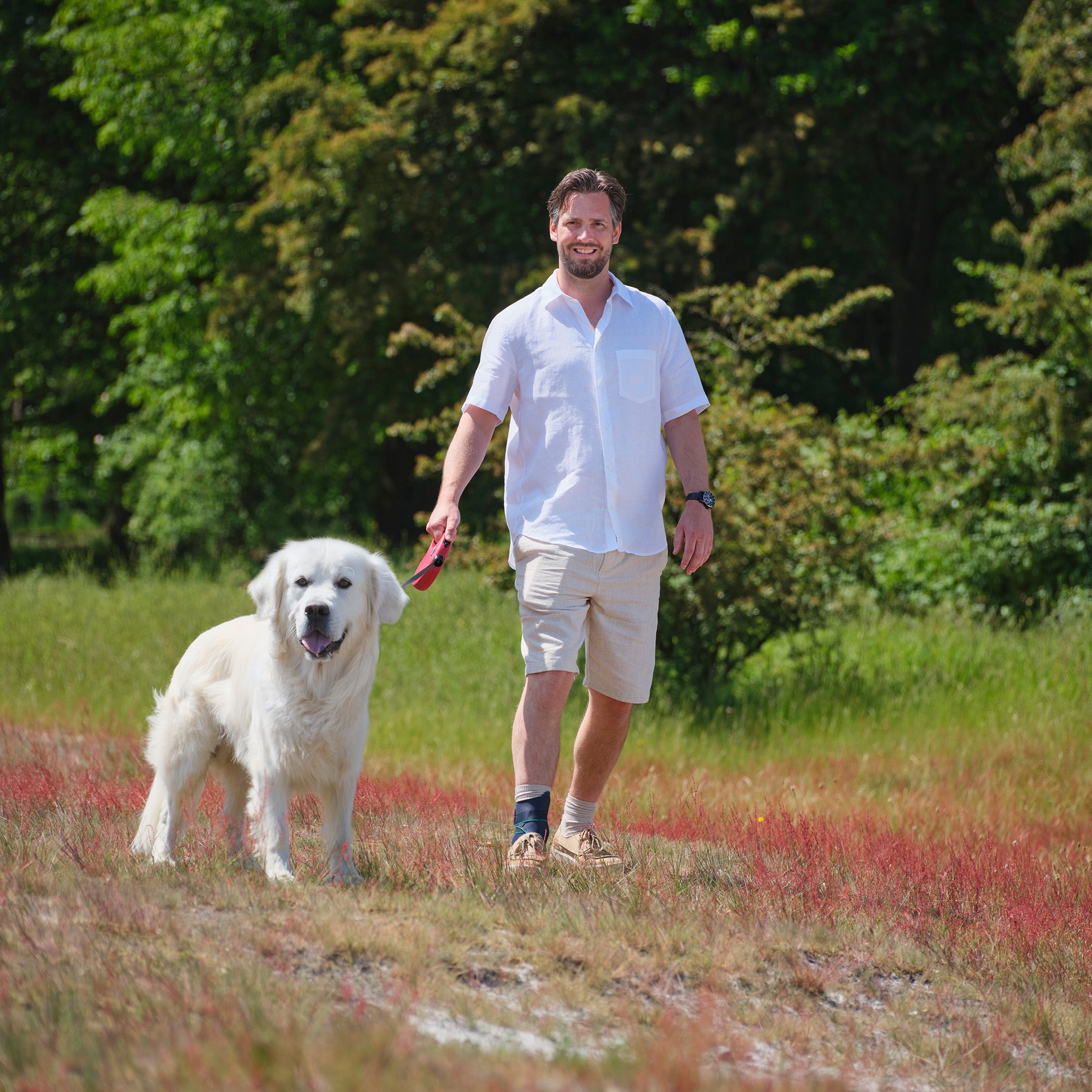 Aequi Flex ankelstøtte for ustabile ankler under sport og trening