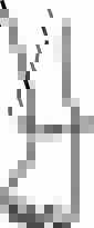 Ankelstøtte Armis_size-guide