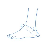 Dynamics Plus Hælbeskyttelse_size-guide