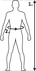 Holdningsvest EXTO™ for bedre holdning_size-guide