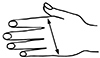 Kompresjonshanske uten fingertupper_size-guide